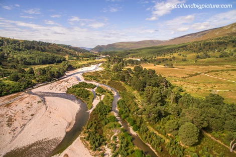 Regenerating woodland along River Feshie, Glenfeshie, Cairngorms National Park